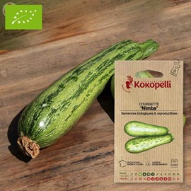 Courgette nimba- graines bio à semer