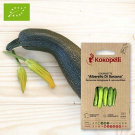 Courgette alberello di sarzana- graines