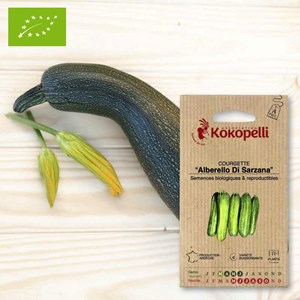 Courgette alberello di sarzana- graines