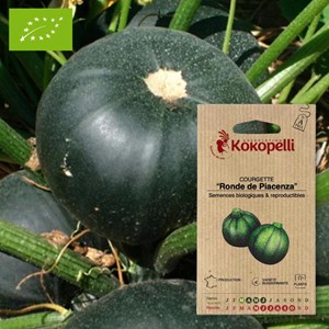 Courgette ronde de piacenza- graines bio
