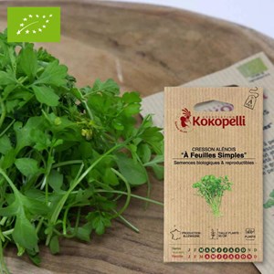 Cresson alénois à feuilles simples- grai