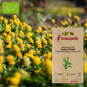 Cresson de pará lemon drops