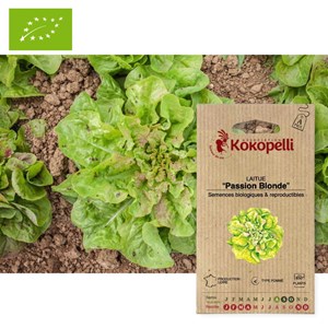 Laitue passion blonde- graines bio à sem