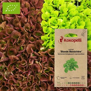Laitue blonde maraichère- graines bio à