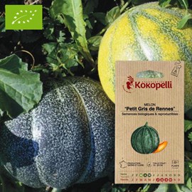 Melon petit gris de rennes- graines bio