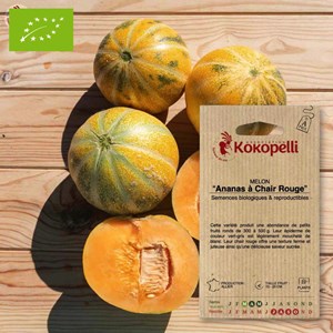 Melon ananas à chair rouge- graines bio