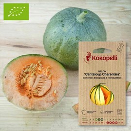 Melon cantaloup charentais- graines bio