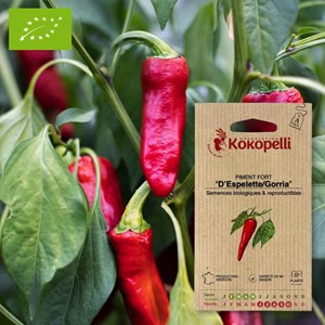 Piment fort d'espelette gorria- graines