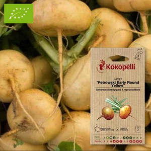 Navet petrowski early round yellow- grai