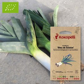 Poireau bleu de solaise- graines bio à s