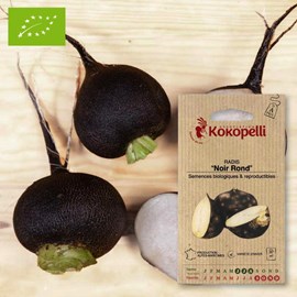 Radis noir rond- graines bio à semer
