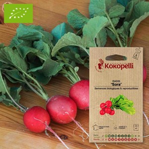 Radis de tous les mois sora- graines bio