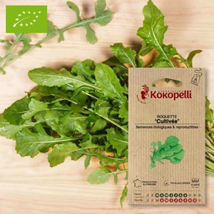 Roquette cultivée- graines bio à semer