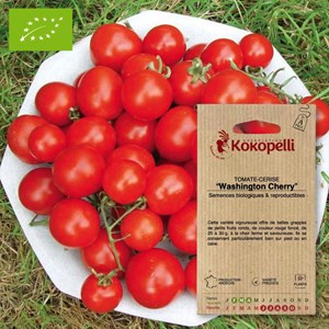 Tomate-cerise washington cherry- graines