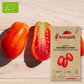 Tomate aunt mary's paste- graines bio à