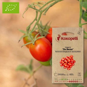 Tomate de berao- graines bio à semer