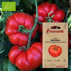 Tomate marmande- graines bio à semer