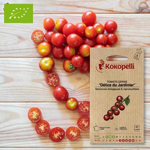 Tomate-cerise délice du jardinier
