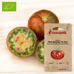 Tomate pink berkeley tie dye- graines bi