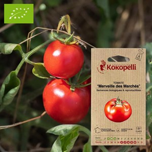 Tomate merveille des marchés- graines bi