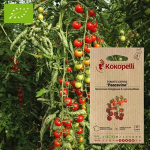 Tomate-cerise peacevine- graines bio à s
