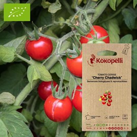 Tomate-cerise cherry chadwick- graines b