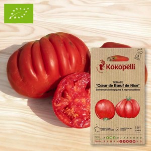 Tomate cœur de bœuf de nice- graines bio