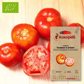 Tomate amateur's dream- graines bio à se