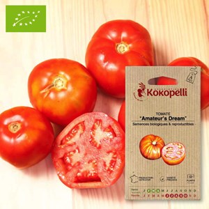 Tomate amateur's dream- graines bio à se