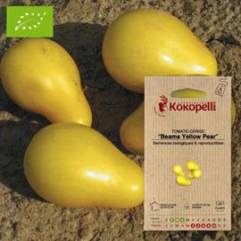 Tomate-cerise beams yellow pear- graines