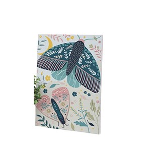 Peinture au numero 20x30 cm - papillons