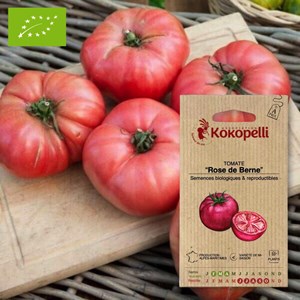 Tomate rose de berne- graines bio à seme