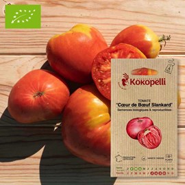 Tomate cœur de bœuf slankard- graines bi