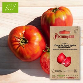 Tomate cœur de bœuf yasha yougoslavian-
