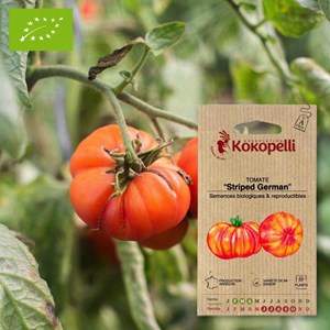Tomate striped german- graines bio à sem