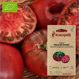 Tomate noire de crimée- graines bio à se