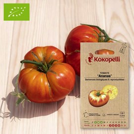 Tomate bigarrée ananas- graines bio à se