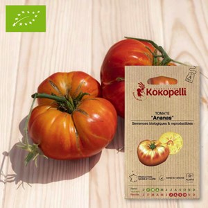 Tomate bigarrée ananas- graines bio à se