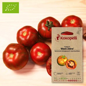 Tomate black zebra- graines bio à semer