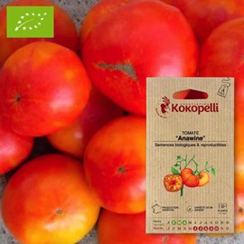 Tomate anawine- graines bio à semer