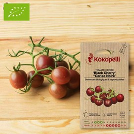 Tomate-cerise black cherry- graines bio