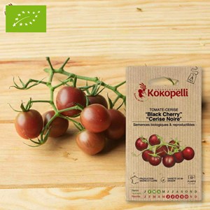 Tomate-cerise black cherry- graines bio