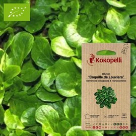Mâche coquille de louviers- graines bio