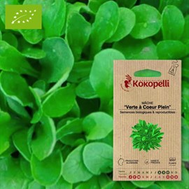 Mâche verte à coeur plein- graines bio à