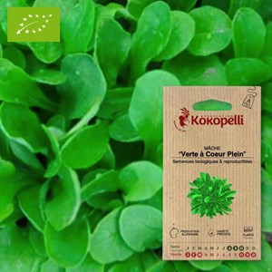 Mâche verte à coeur plein- graines bio à
