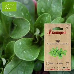 Mâche verte vit- graines bio à semer