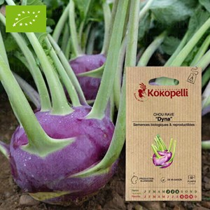 Chou rave dyna- graines bio à semer