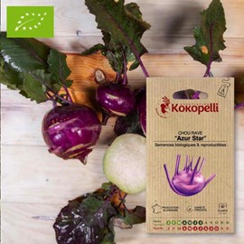 Chou rave azur star- graines bio à semer
