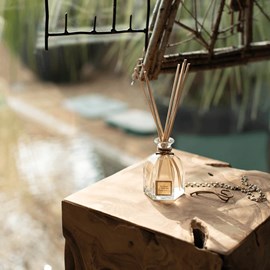 Bouquet parfumé infusion d'agrumes