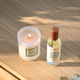 Bougie parfumée aloe vera